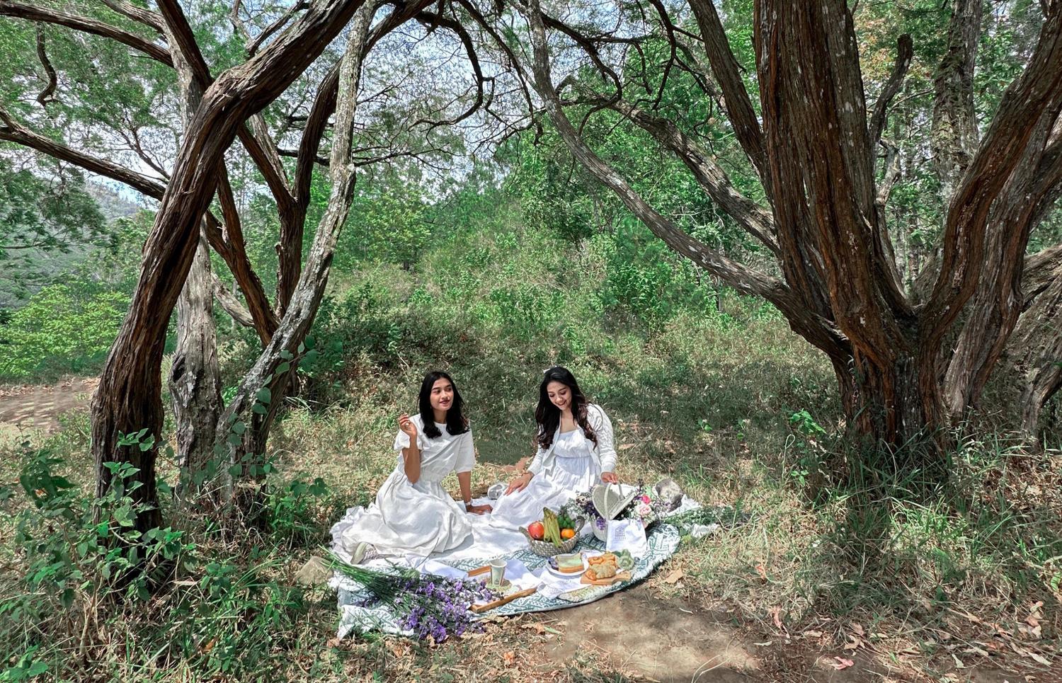 picnic-package